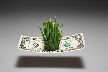 Delaware condo association Tax Return